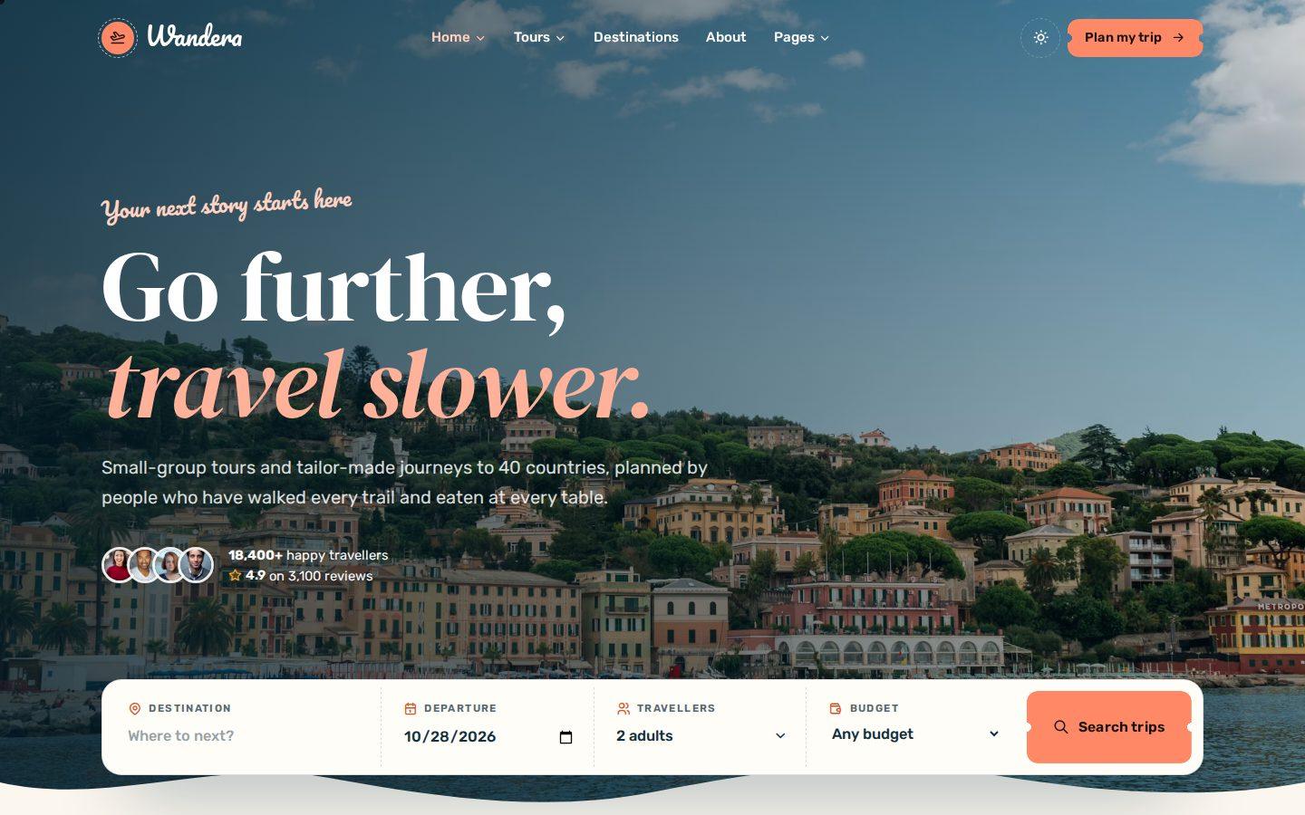 Wandera home page preview